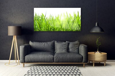 Glass Wall Art Grass nature green