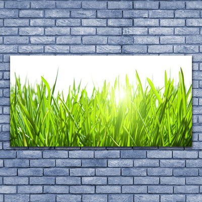 Glass Wall Art Grass nature green