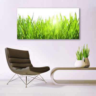 Glass Wall Art Grass nature green