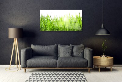 Glass Wall Art Grass nature green