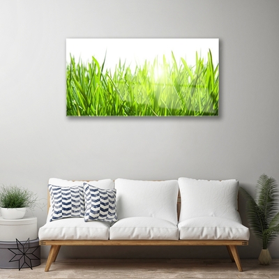 Glass Wall Art Grass nature green