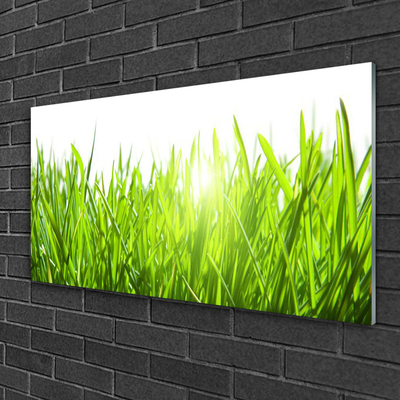 Glass Wall Art Grass nature green