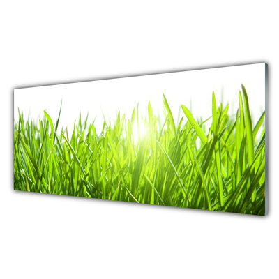 Glass Wall Art Grass nature green