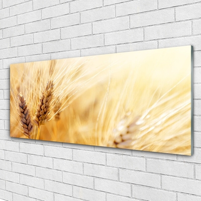 Glass Wall Art Wheat floral yellow