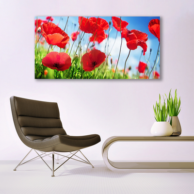 Glass Wall Art Poppy grass nature red green