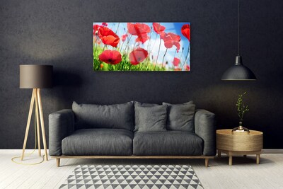 Glass Wall Art Poppy grass nature red green