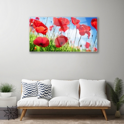 Glass Wall Art Poppy grass nature red green