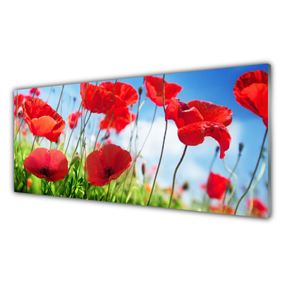 Glass Wall Art Poppy grass nature red green