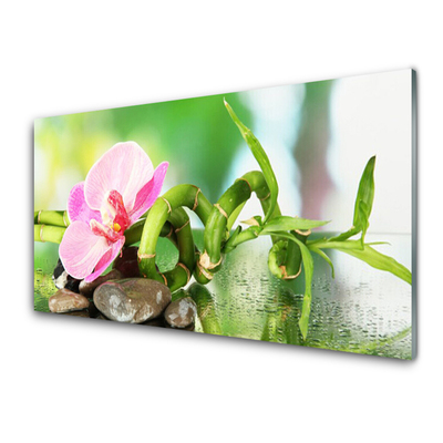 Glass Wall Art Bamboo stalk flower stones nature green pink grey