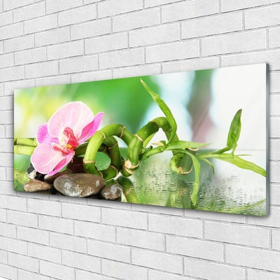 Glass Wall Art Bamboo stalk flower stones nature green pink grey