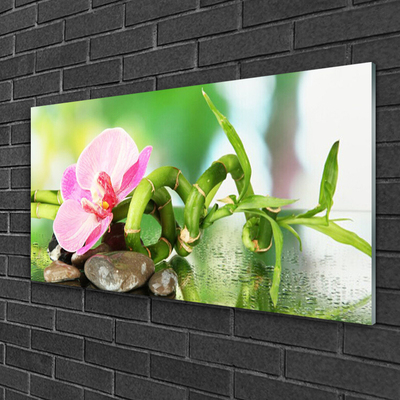 Glass Wall Art Bamboo stalk flower stones nature green pink grey