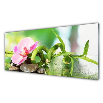 Glass Wall Art Bamboo stalk flower stones nature green pink grey