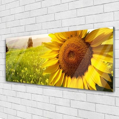 Glass Wall Art Sunflower floral yellow brown