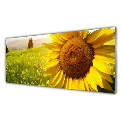Glass Wall Art Sunflower floral yellow brown