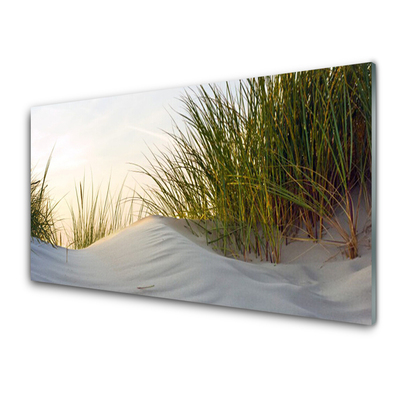 Glass Wall Art Sand grass landscape grey green