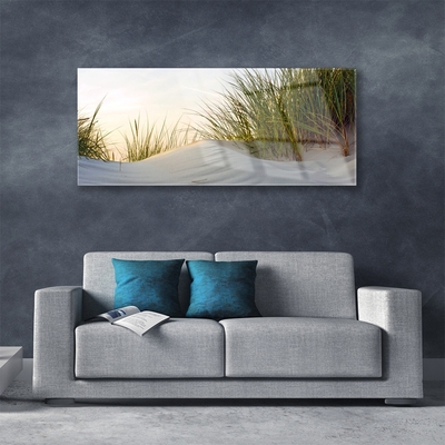 Glass Wall Art Sand grass landscape grey green