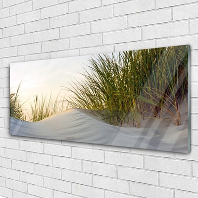 Glass Wall Art Sand grass landscape grey green