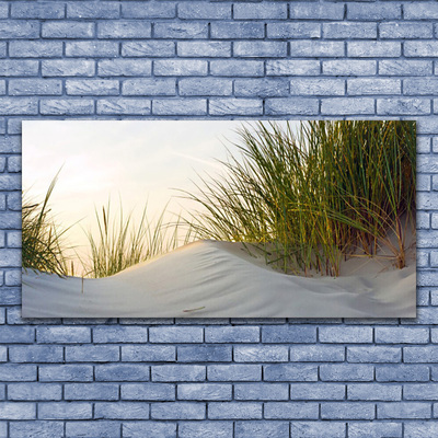 Glass Wall Art Sand grass landscape grey green