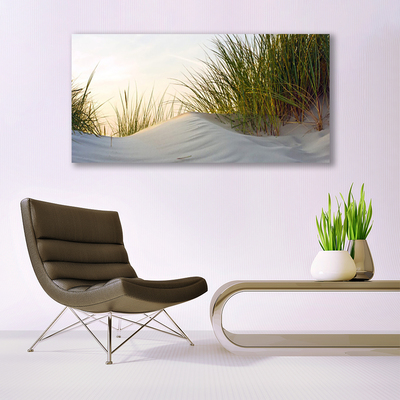 Glass Wall Art Sand grass landscape grey green