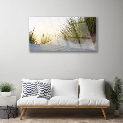 Glass Wall Art Sand grass landscape grey green