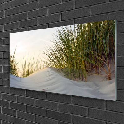 Glass Wall Art Sand grass landscape grey green