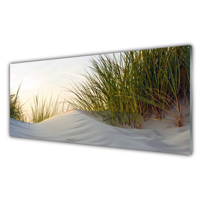 Glass Wall Art Sand grass landscape grey green