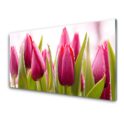 Glass Wall Art Tulips floral red