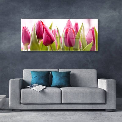 Glass Wall Art Tulips floral red