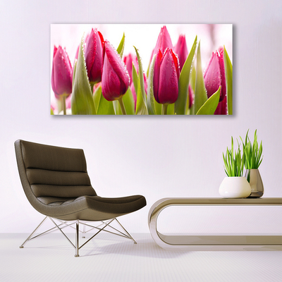 Glass Wall Art Tulips floral red