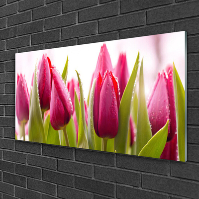 Glass Wall Art Tulips floral red