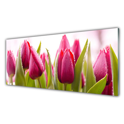 Glass Wall Art Tulips floral red