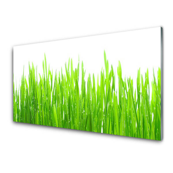 Glass Wall Art Grass nature green