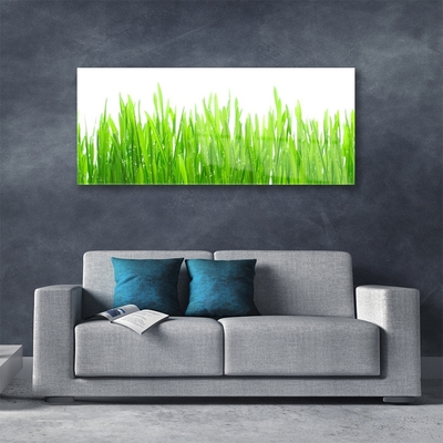 Glass Wall Art Grass nature green