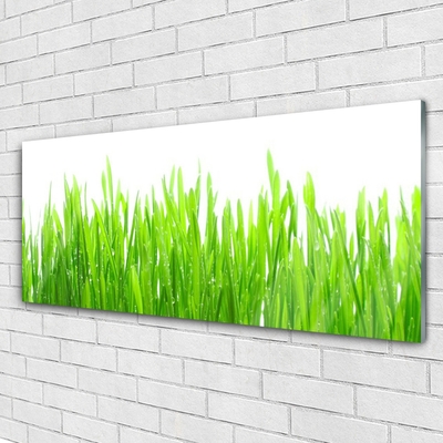 Glass Wall Art Grass nature green