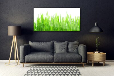 Glass Wall Art Grass nature green