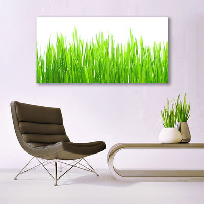 Glass Wall Art Grass nature green