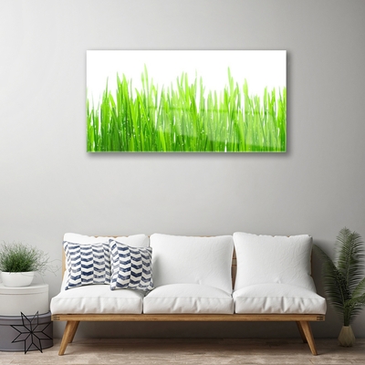 Glass Wall Art Grass nature green