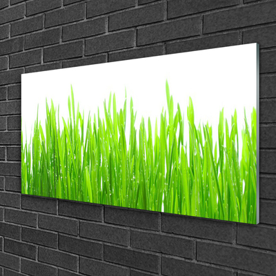 Glass Wall Art Grass nature green