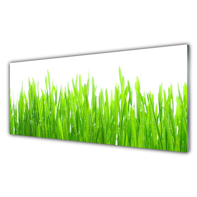 Glass Wall Art Grass nature green