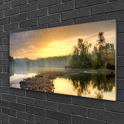 Glass Wall Art Lake stones forest landscape grey green white yellow