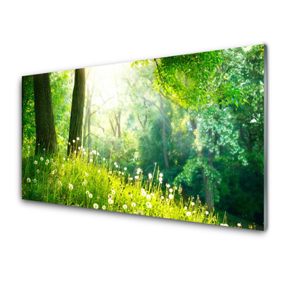 Glass Wall Art Meadow nature green