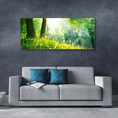 Glass Wall Art Meadow nature green