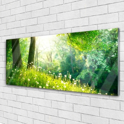 Glass Wall Art Meadow nature green