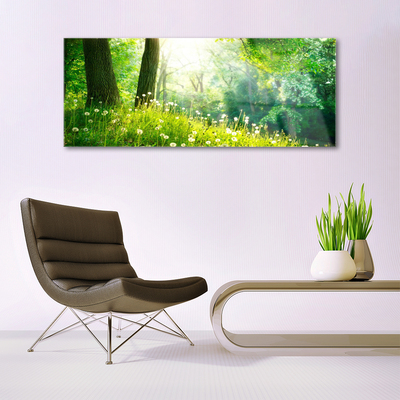 Glass Wall Art Meadow nature green