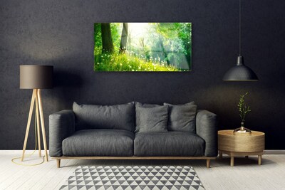 Glass Wall Art Meadow nature green