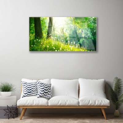 Glass Wall Art Meadow nature green