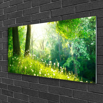 Glass Wall Art Meadow nature green