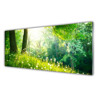 Glass Wall Art Meadow nature green