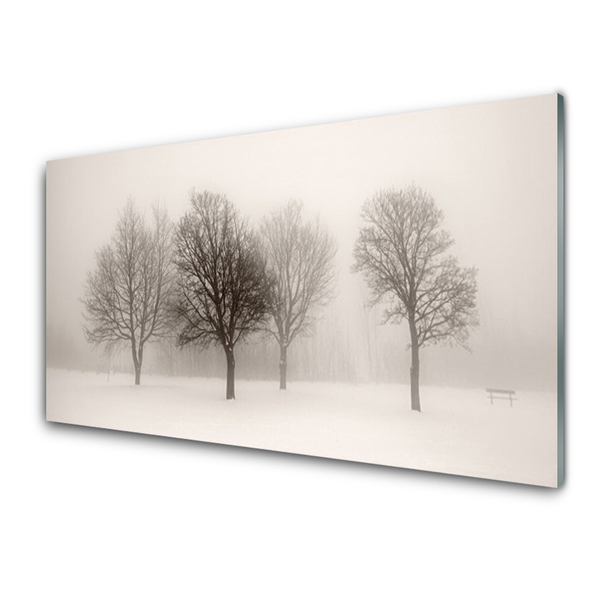 Glass Wall Art Snow trees landscape white brown