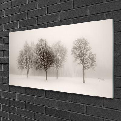 Glass Wall Art Snow trees landscape white brown